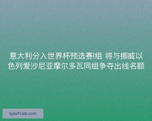 意大利分入世界杯预选赛I组 将与挪威以色列爱沙尼亚摩尔多瓦同组争夺出线名额