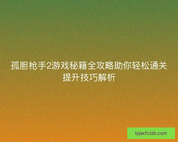 孤胆枪手2游戏秘籍全攻略助你轻松通关提升技巧解析