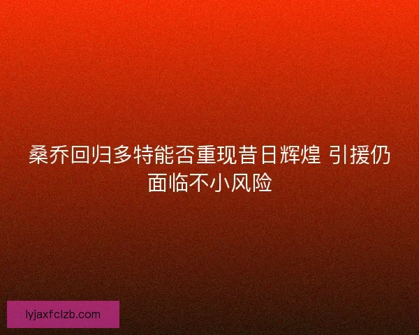 桑乔回归多特能否重现昔日辉煌 引援仍面临不小风险