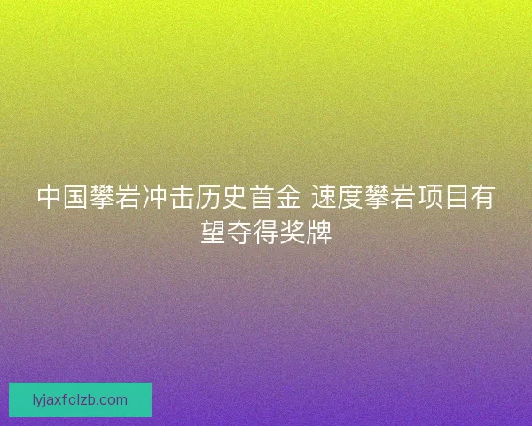 中国攀岩冲击历史首金 速度攀岩项目有望夺得奖牌