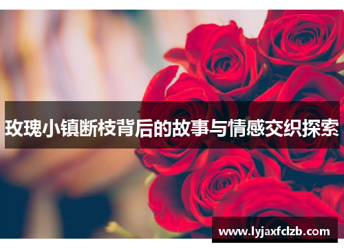 玫瑰小镇断枝背后的故事与情感交织探索