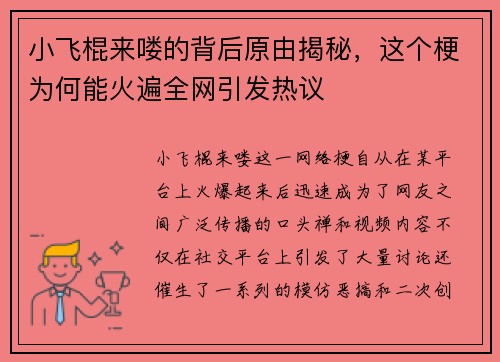 小飞棍来喽的背后原由揭秘，这个梗为何能火遍全网引发热议